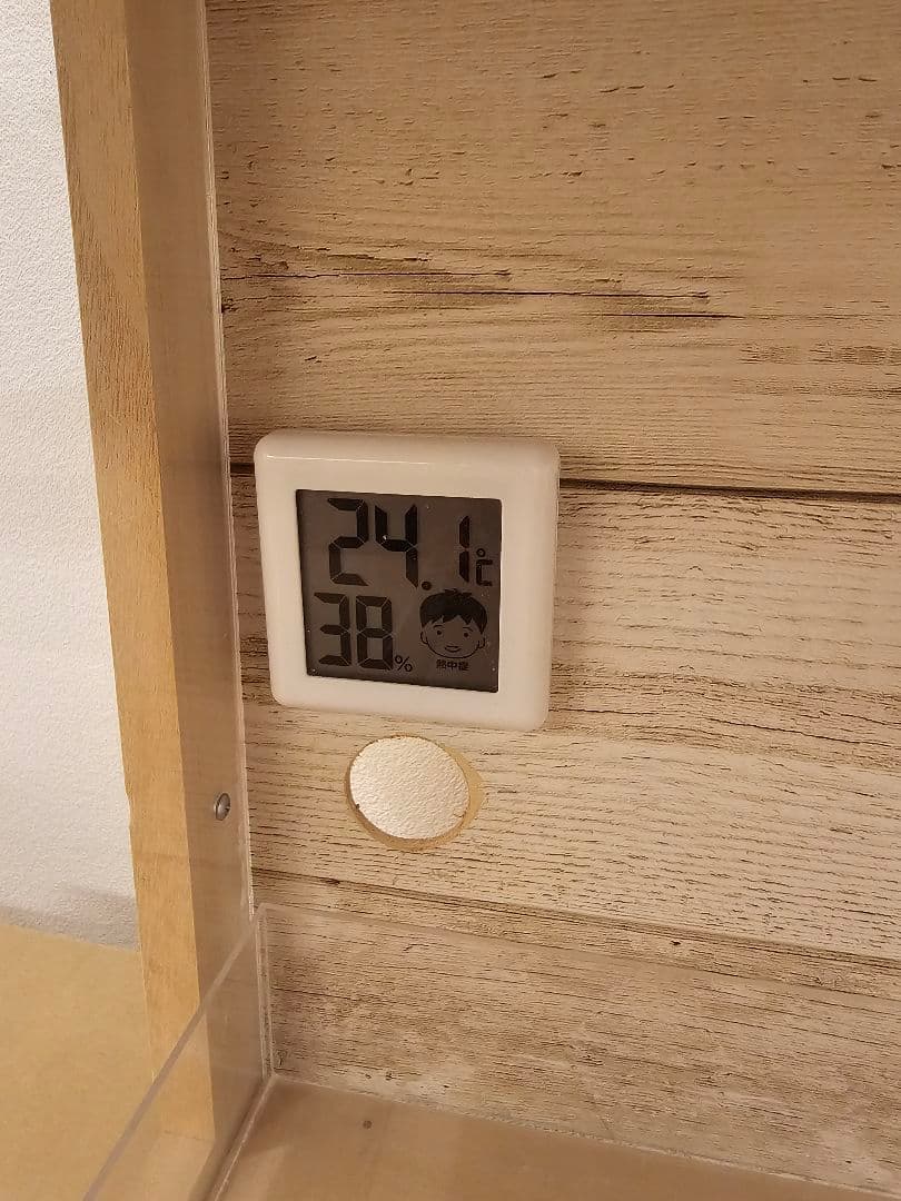 小動物用アクリルケージ　ハリネズミ　ハムスター　爬虫類