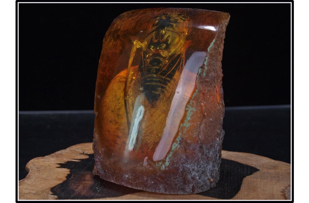 中国時代の化石　天然琥珀サソリ※骨董品 古美術 DE1649D4-2