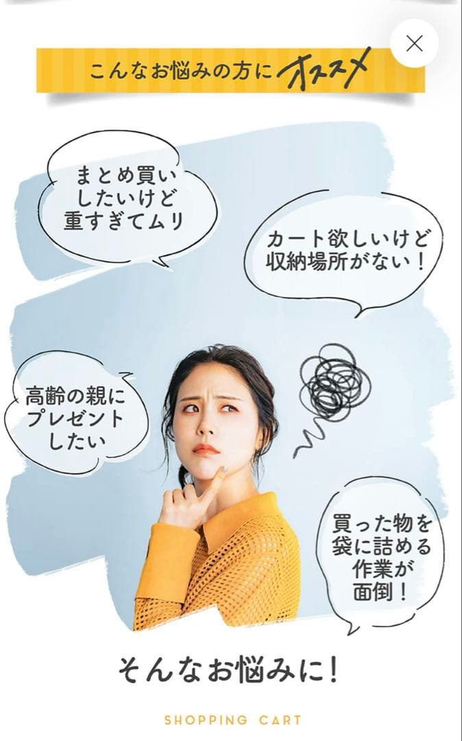 【美品】エコー　マイカート　ショッピングカート シルバーカー　保冷バッグ付き