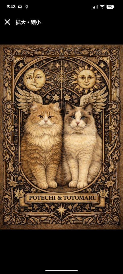 [行って帰る君]大型ペットドア ペット スルー