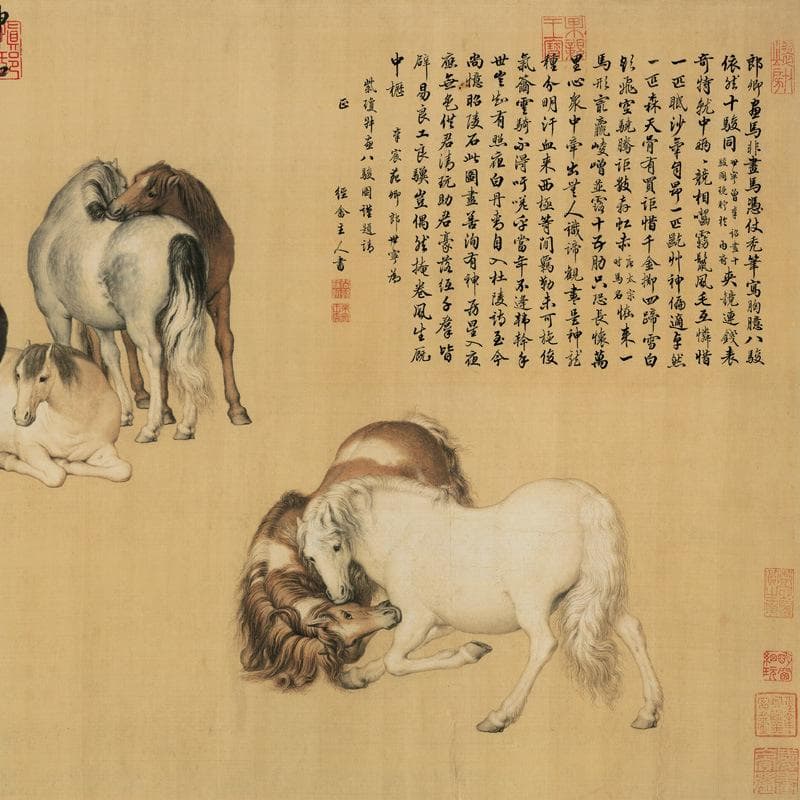 h13# 八骏图 中国古書画 画家郎世宁(清) 神品