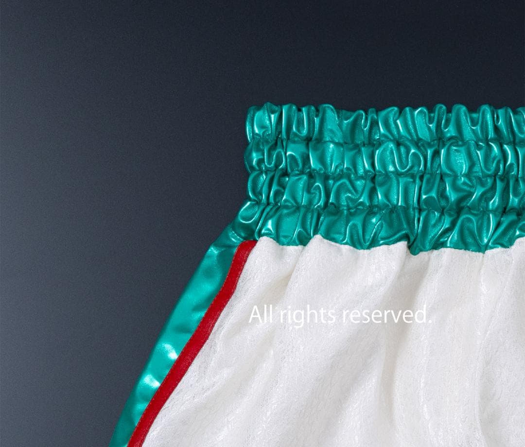 試合用に！SSサイズ（ジュニア又はレディース）スネーク柄のボクシングトランクス