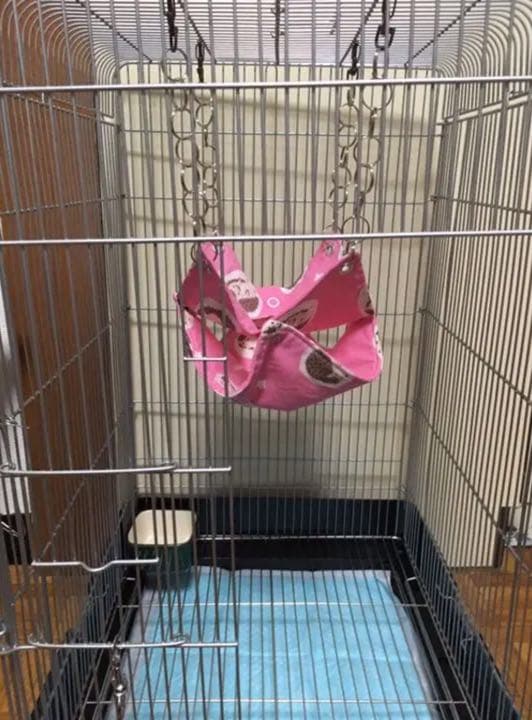 モモンガハウス(ペンギン柄)夏仕様  涼しい夏生地を使用❗️1550円