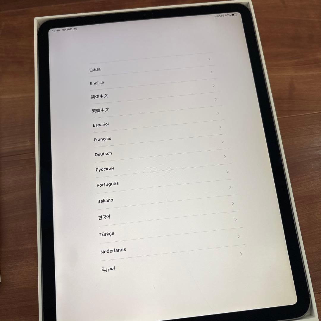 2018年モデル iPadPro11インチ 第1世代 256GB セル