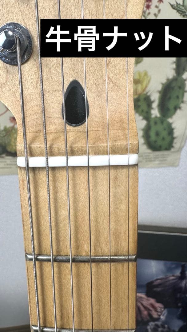 Squier Affinity Telecaster　 MOD