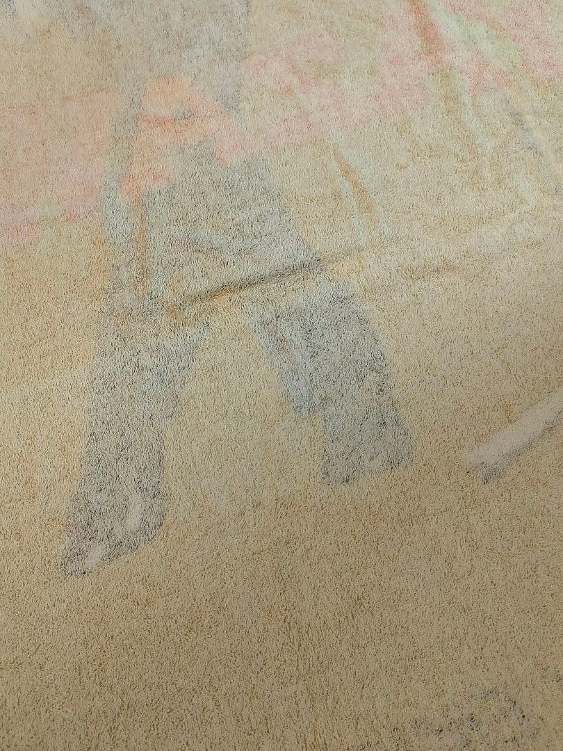 【未使用】矢沢永吉 スペシャルビーチタオル スタンド　NEW姿 SBT 旧サイズ