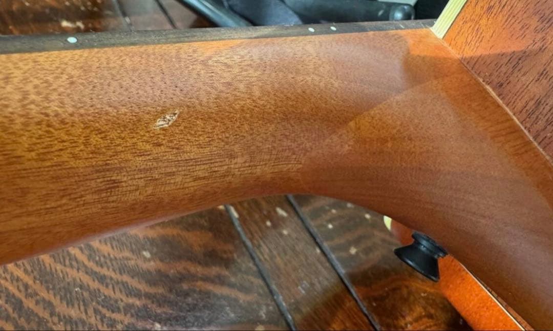 【3.9万Airデュアルピックアップシステム付き】aNueNueアヌエヌエ M1