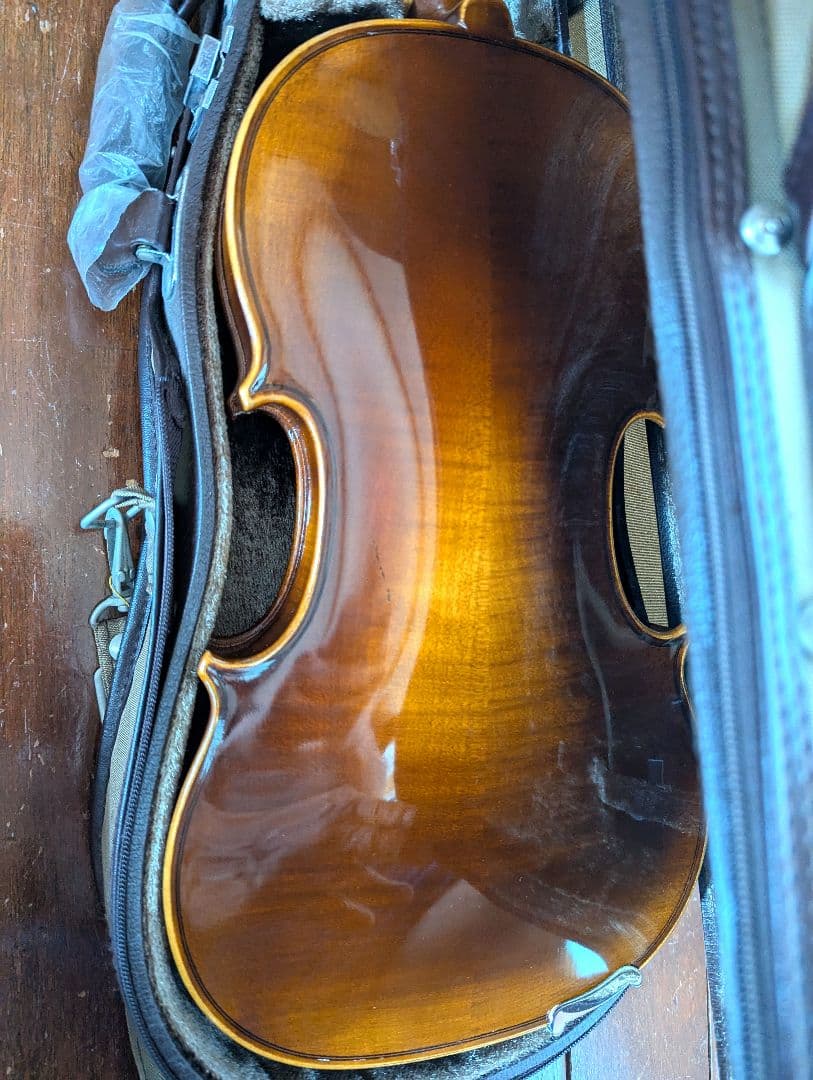 カールヘフナー karl hofner バイオリン＆ARY FRANCEの弓