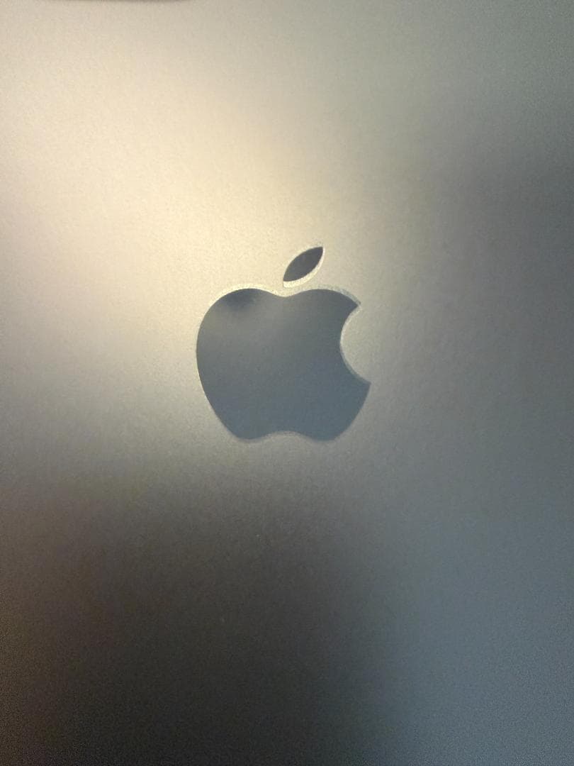 iPhone 11 pro Max 256GB ケース付き