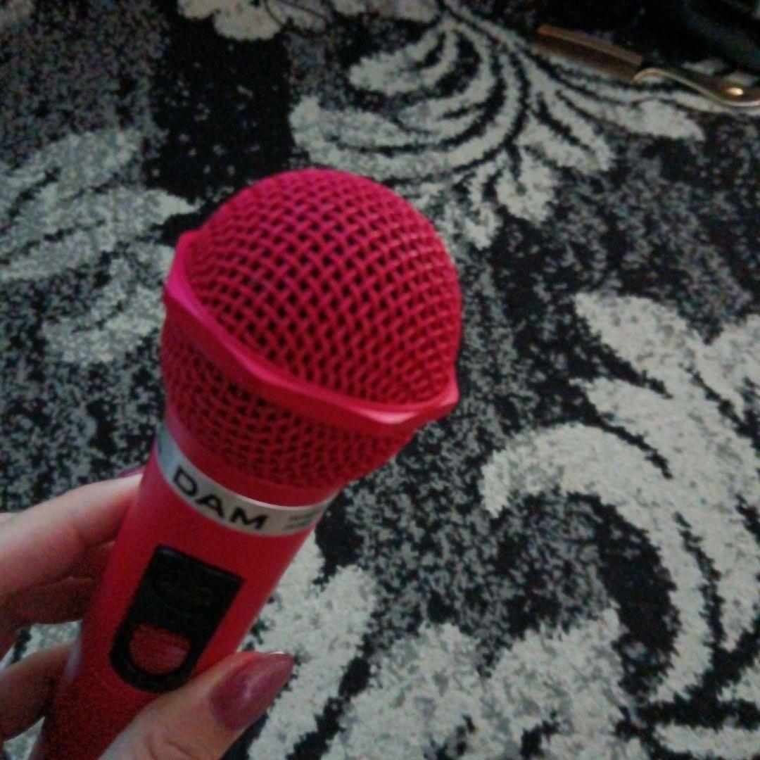 最終値下げ　DAMマイク