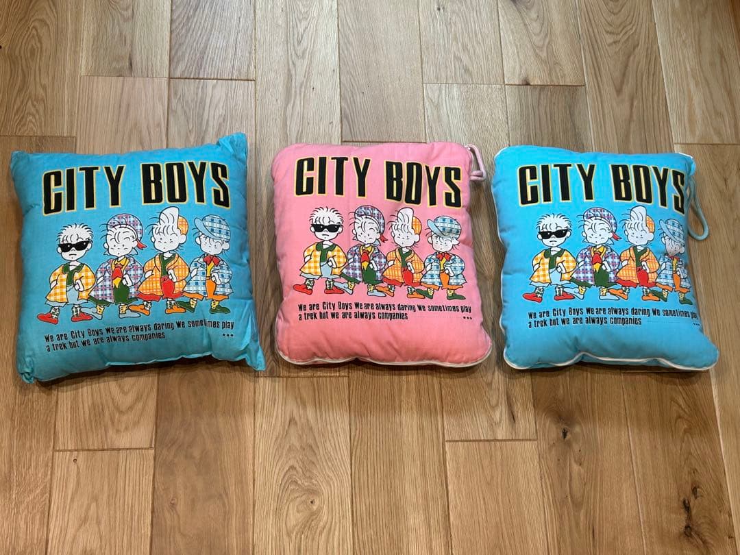【ほぼ未使用】　CITY BOYS 肌がけ枕セット×2クッション×1