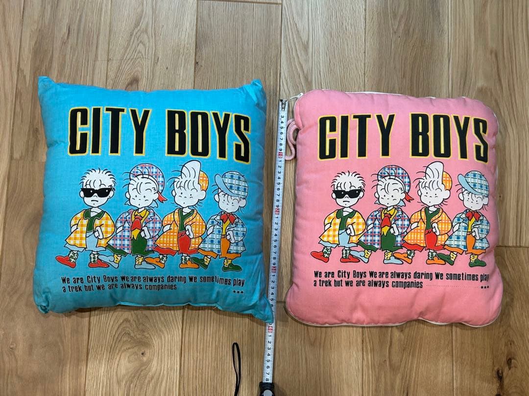 【ほぼ未使用】　CITY BOYS 肌がけ枕セット×2クッション×1