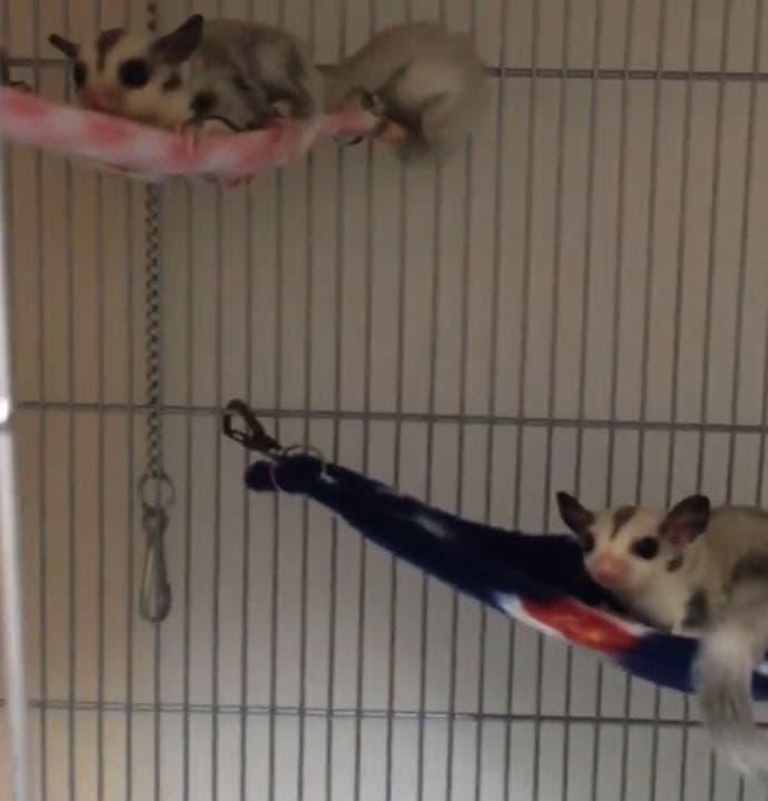 三角コーナーハンモック(うさぎ・和柄)  夏仕様  1200円