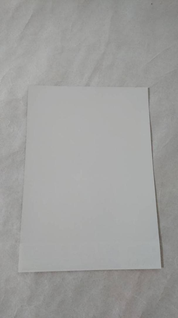 ★矢沢永吉・2010年・日本ガイシホ－ル・B5サイズチラシ