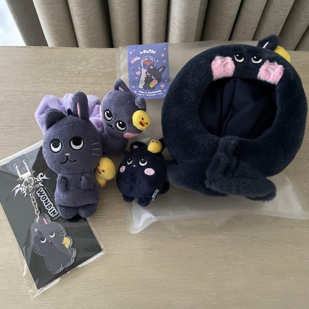 RIIZE ウォンビン　ペンライトカバー　キーホルダー　WONBIN シュシュ