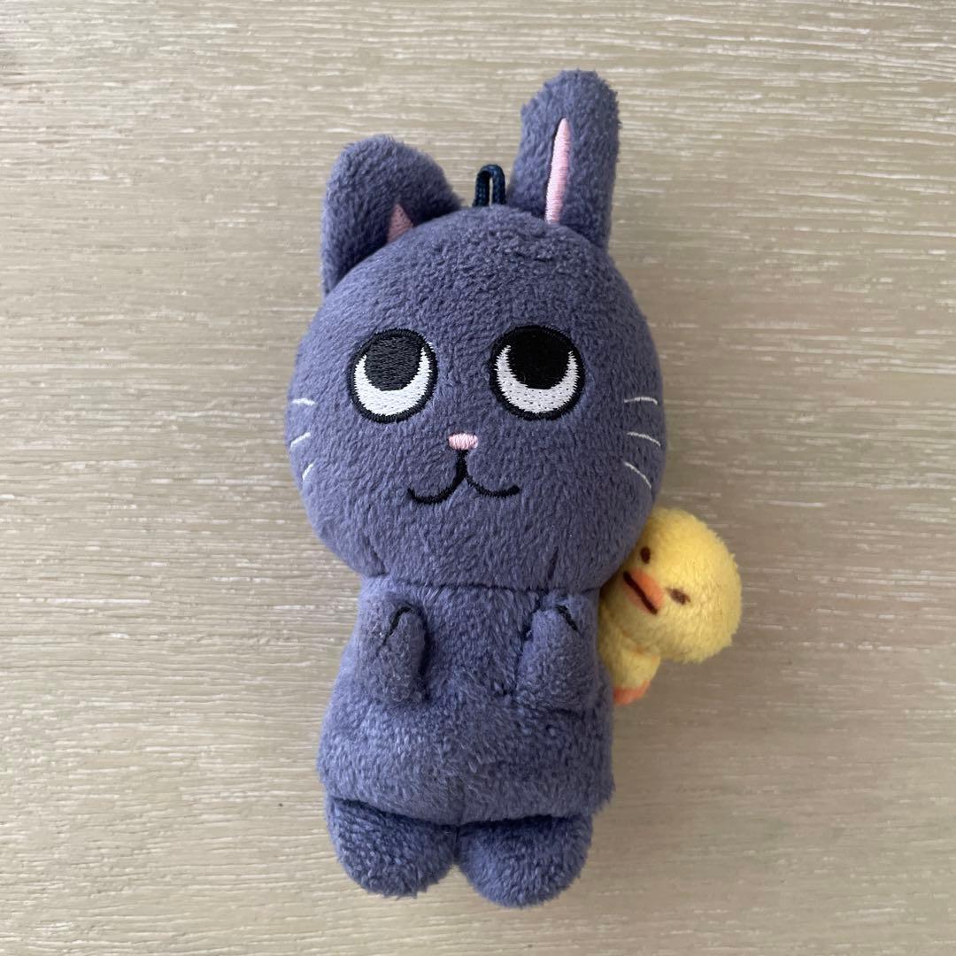 RIIZE ウォンビン　ペンライトカバー　キーホルダー　WONBIN シュシュ