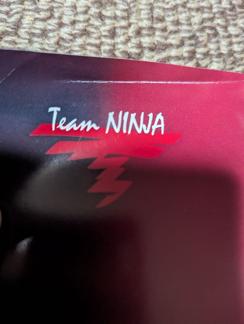 ニンジャガイデン　ポスター