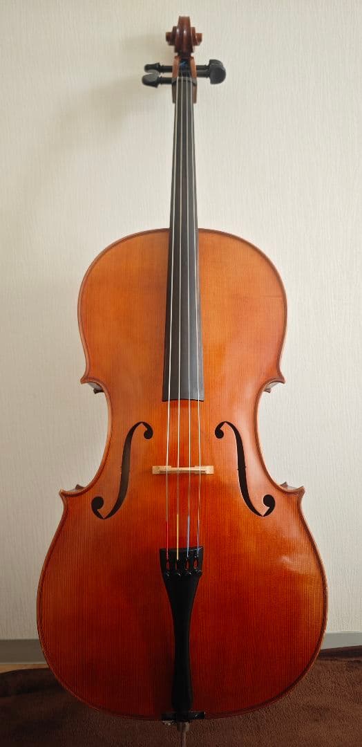 Roderich Paesold No.602 1990年製 チェロ