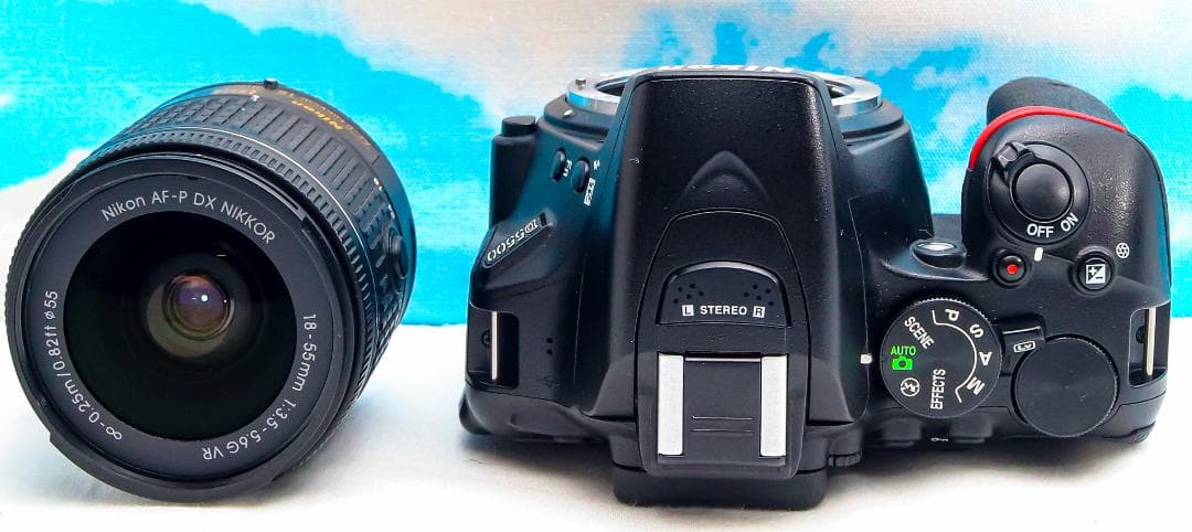 ニコン Nikon D5500⭐️スマホ転送機能付⭐️超高画質2416万画素