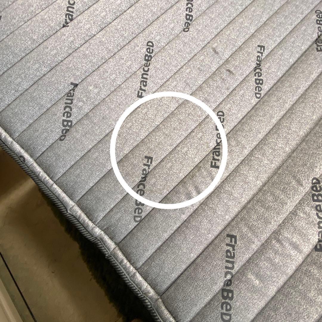 FRANCEBED フランスベッド⭐️電動ベッド　シングルベッドrh-fk-dlx