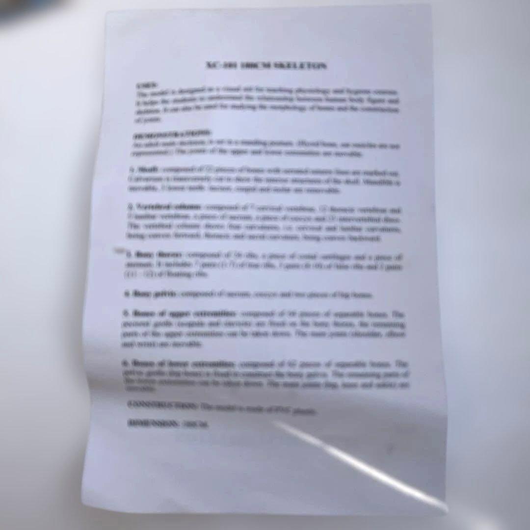 可動関節付き全身骨格模型 等身大約180cmキャスター付き