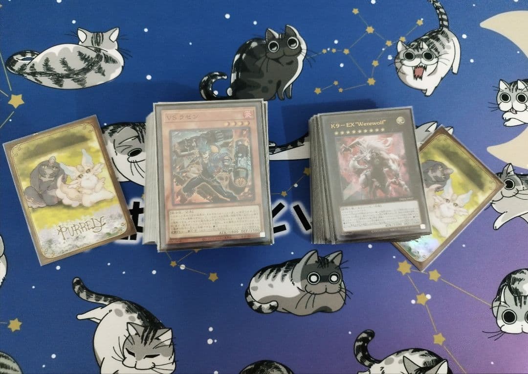 ナナシ VSK9デッキ EXデッキ付き