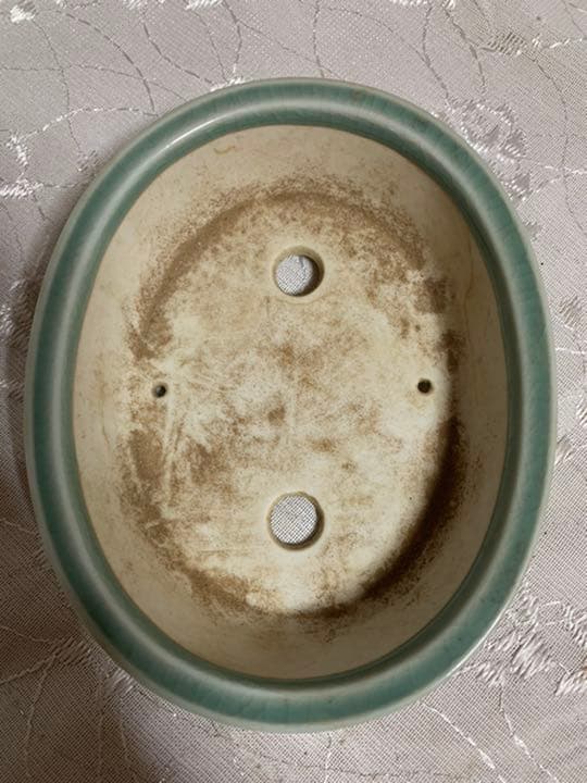 祥山　九谷　楕円　盆栽鉢