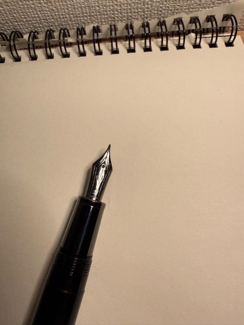 SAILOR セーラー プロフィット ブラックラスター 万年筆 M 中字