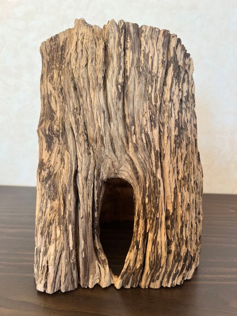 HX-008 流木　空洞　爬虫類　アクアリウム　アクアテラリウム　即沈水