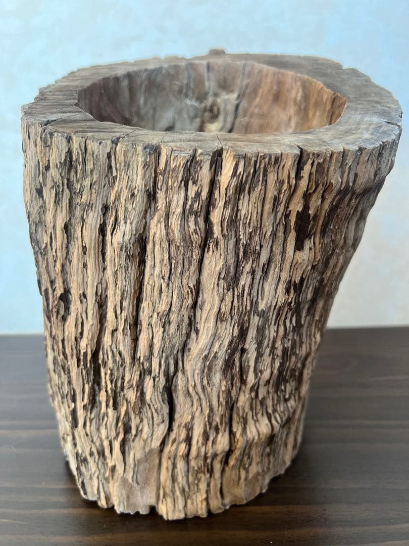 HX-008 流木　空洞　爬虫類　アクアリウム　アクアテラリウム　即沈水