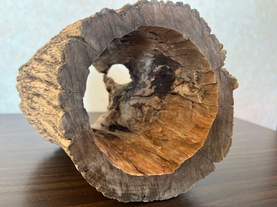 HX-008 流木　空洞　爬虫類　アクアリウム　アクアテラリウム　即沈水