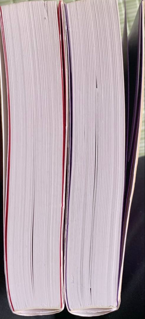 ピンダイク&ルビンフェルド ミクロ経済学 2冊セット