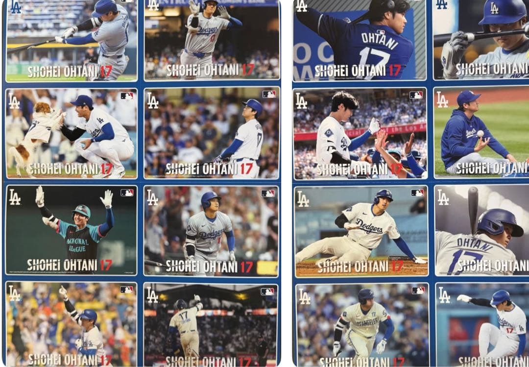 大谷翔平 プレミアムフレームポストカードセット 50-50達成記念　MLB