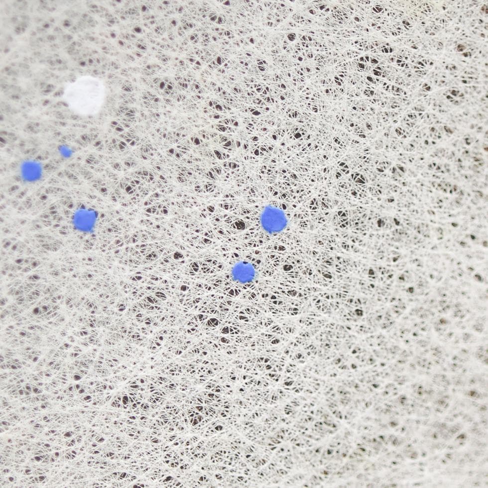 平子真理 黒潮 肉筆 額装 タトウ付