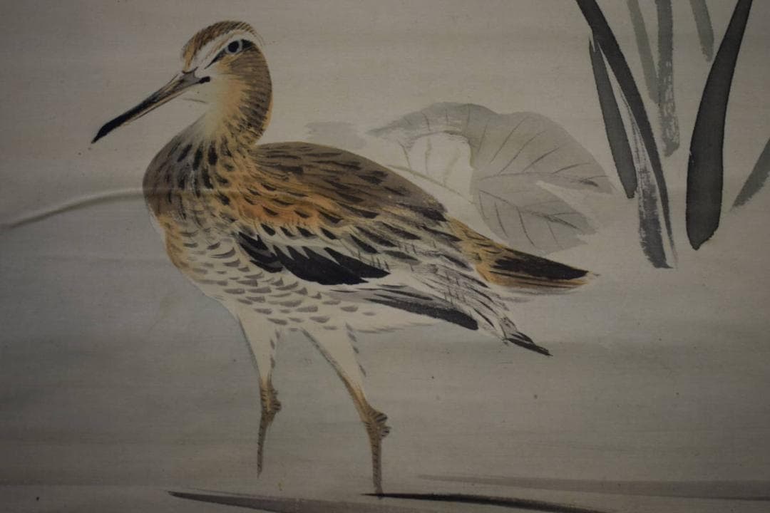 真作/川端玉章/河骨水禽図/河骨水鳥図/絹表装/布袋屋掛軸HI-346