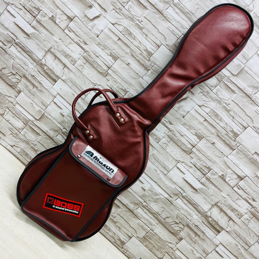 Fernandes フェルナンデス THE FUNCTION エレキギター