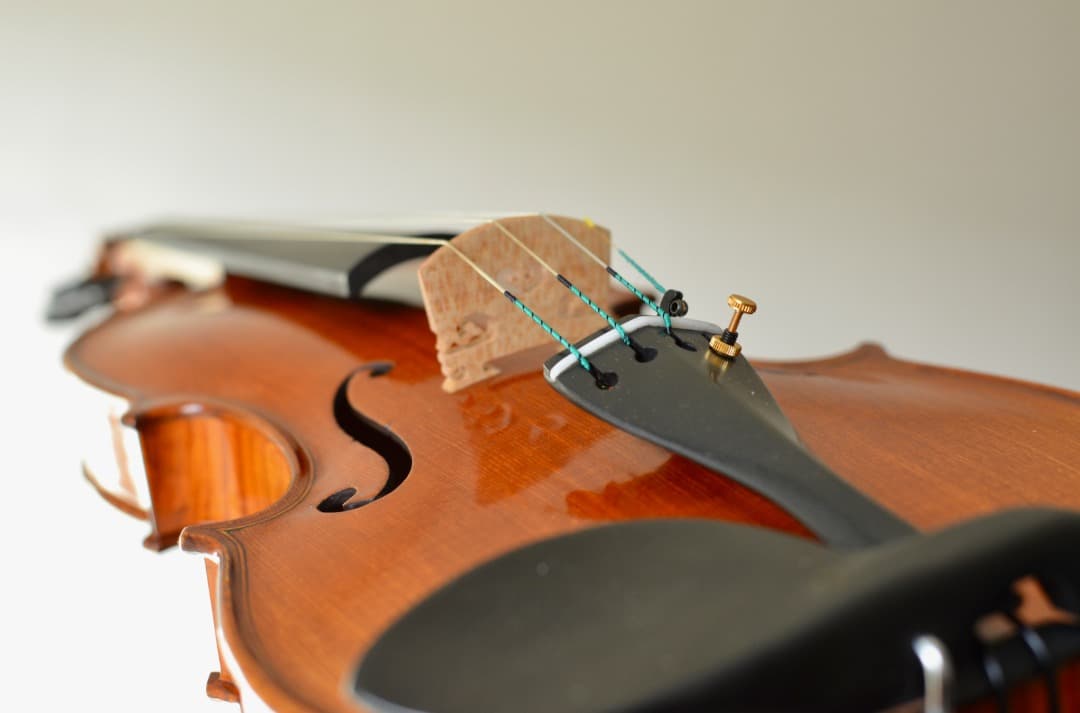 【極虎杢 新品】Gliga Vasile Maestro バイオリン 4/4