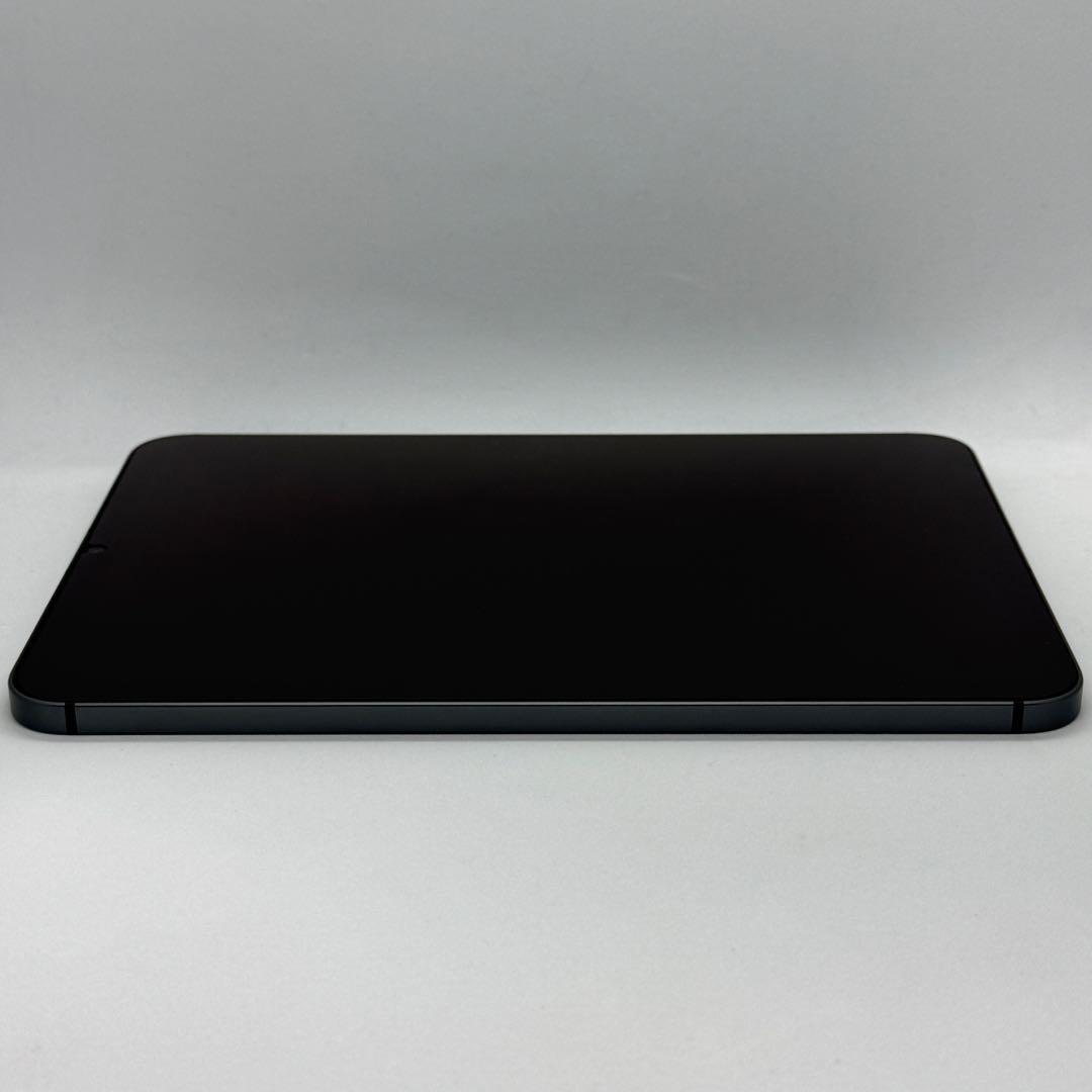 iPad本体 iPad mini6 256GB Cellular + Apple Pencil