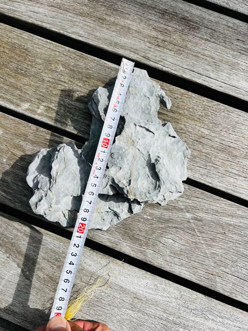 ADA 龍王石　10個セット 12.5kg