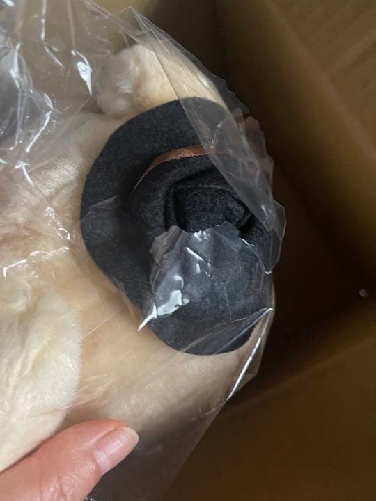 文豪ストレイドッグス文ストぬいぐるみ中原中也My Dear Bear テディベア