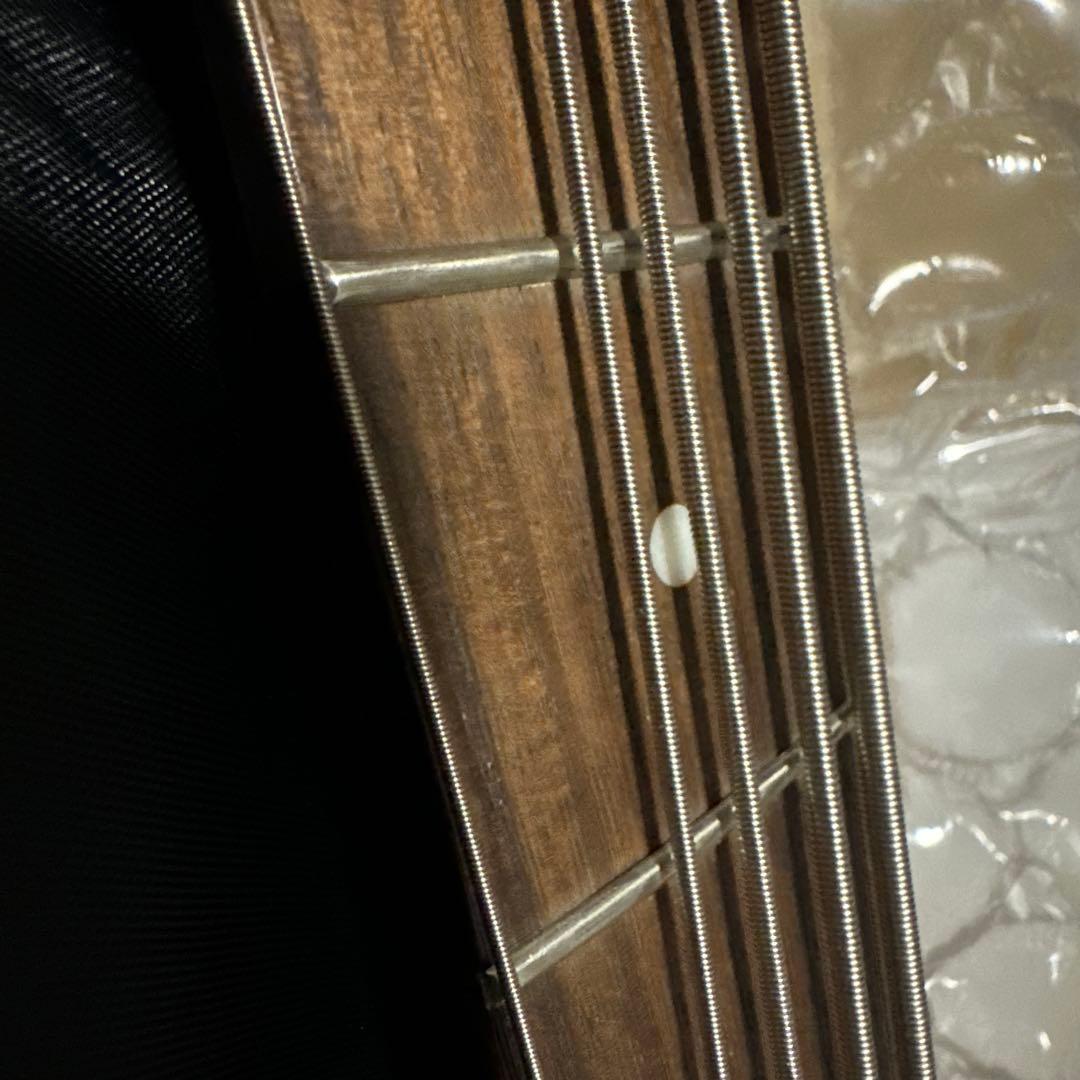 Peavey Millennium 5弦エレキベース