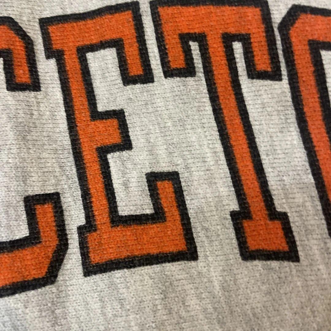 t*6様 両面染み込み princeton チャンピオン リバースウィーブ パー