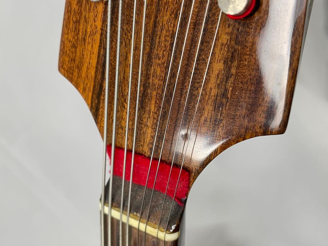 ラファエル・カラーチェ No.26 マンドリン