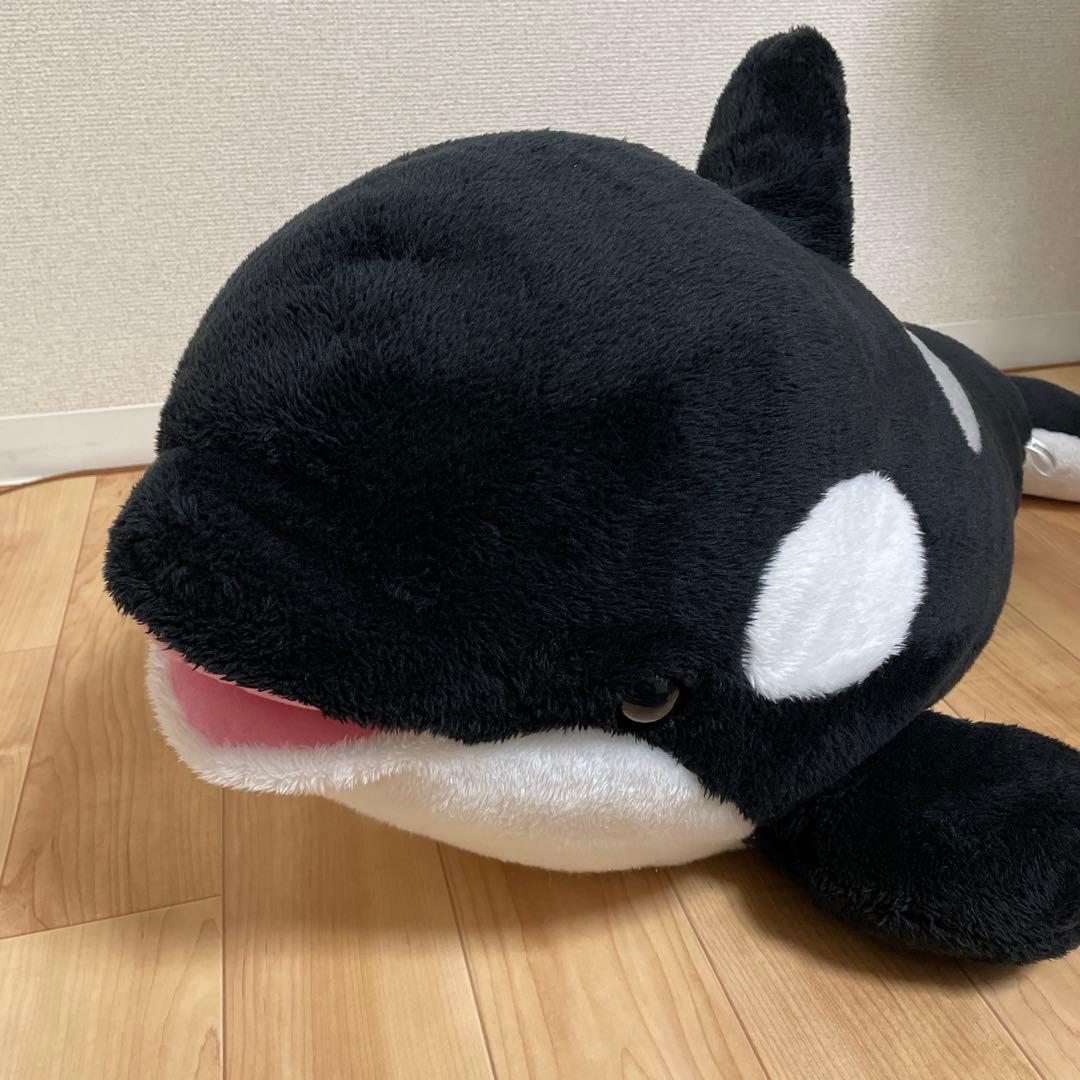 シャチ　ぬいぐるみくじ　1等