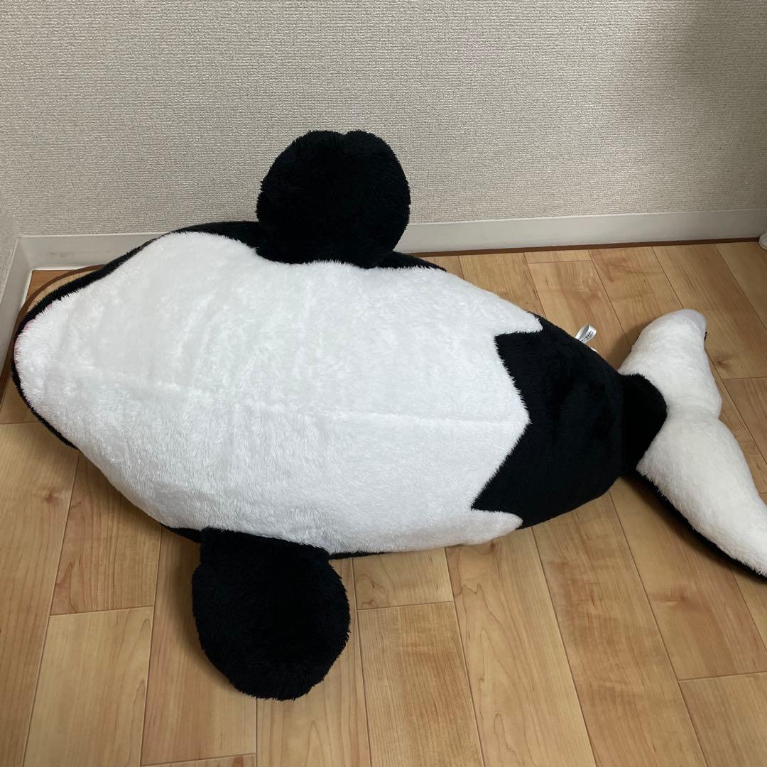 シャチ　ぬいぐるみくじ　1等