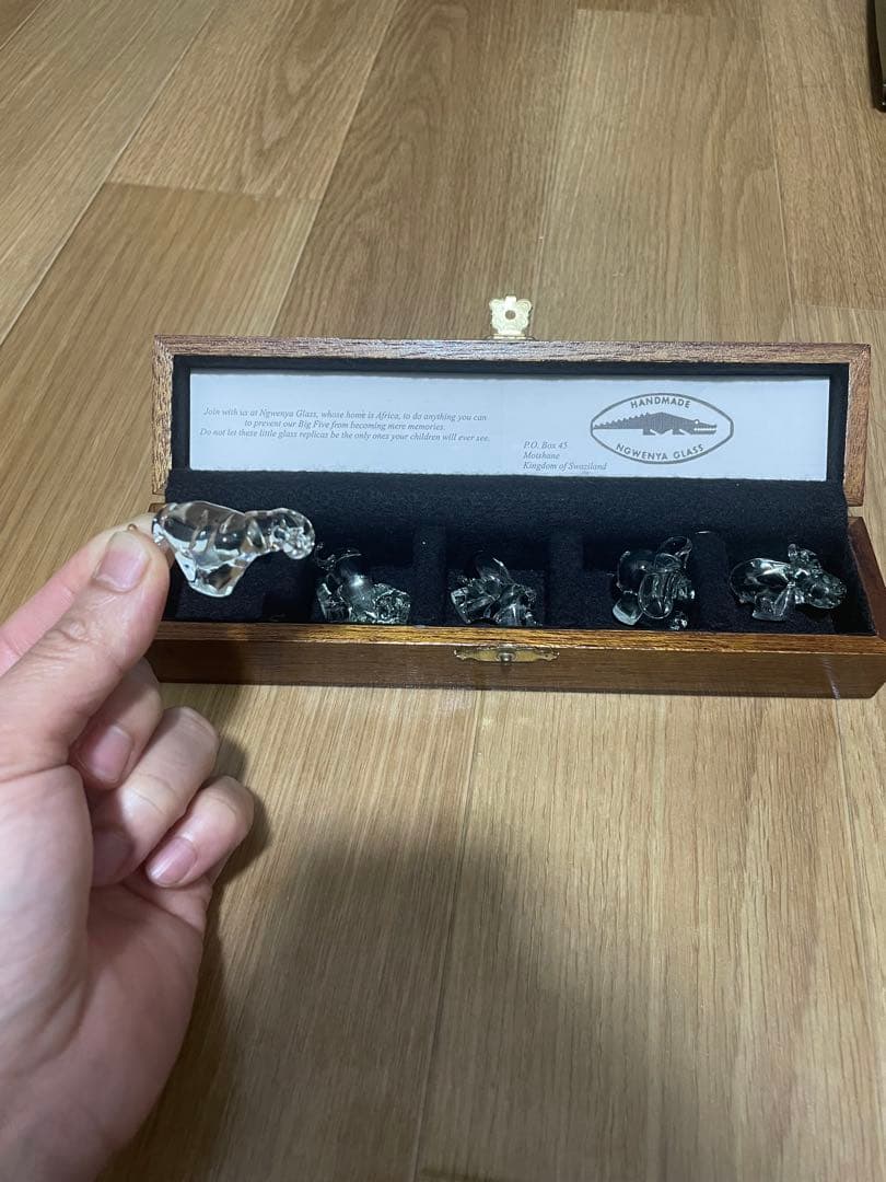 Ngwenya Glass 動物フィギュア 5体セット 木箱付き