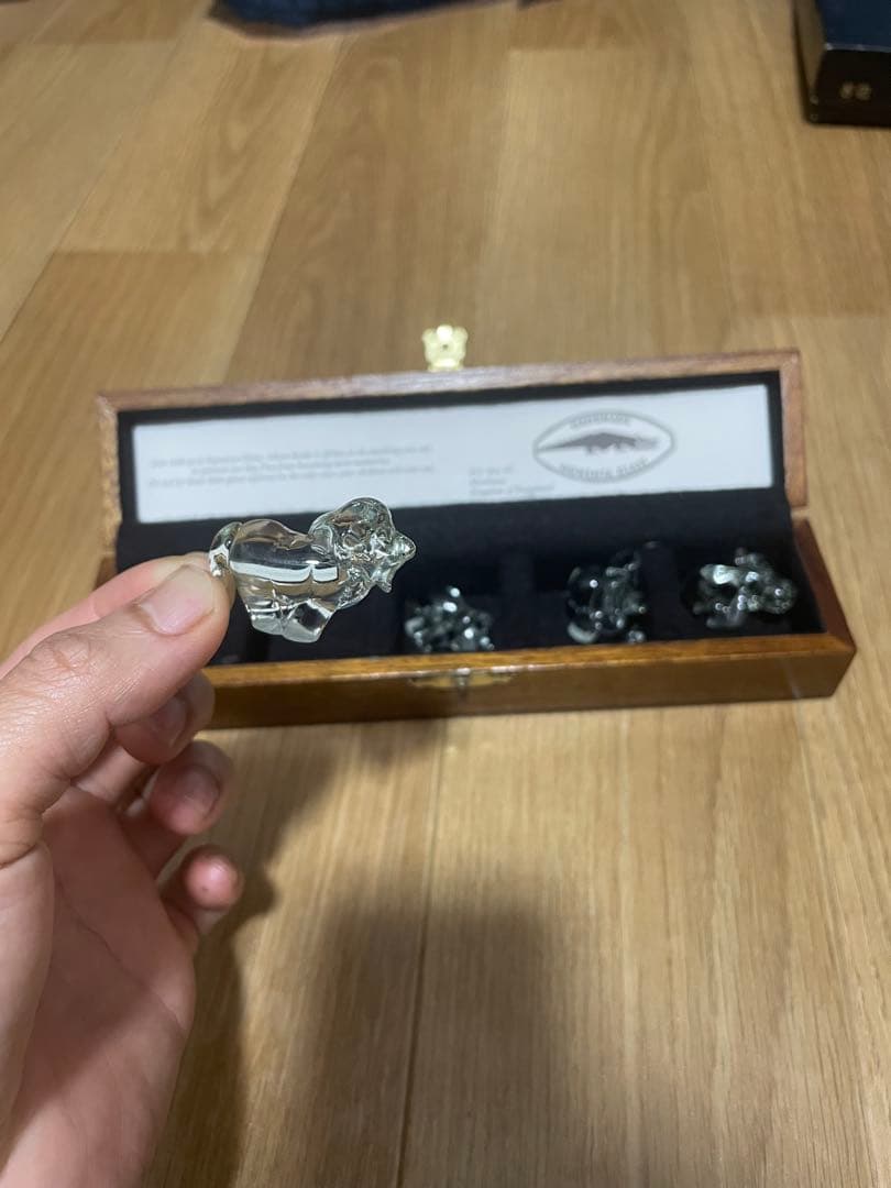 Ngwenya Glass 動物フィギュア 5体セット 木箱付き