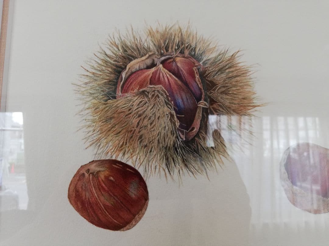 水彩絵画『栗』中谷道江作