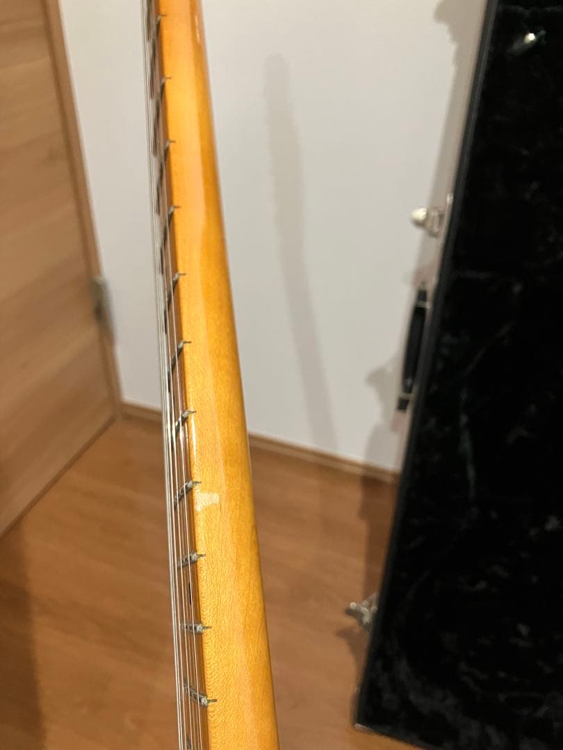 ギター Don Grosh Retro Classic Vintage T ASH/M