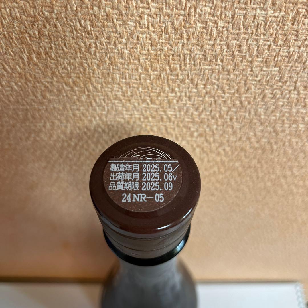 【本日限定】新政　No.6 R type